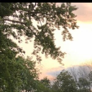 Meet your Posher, Sami